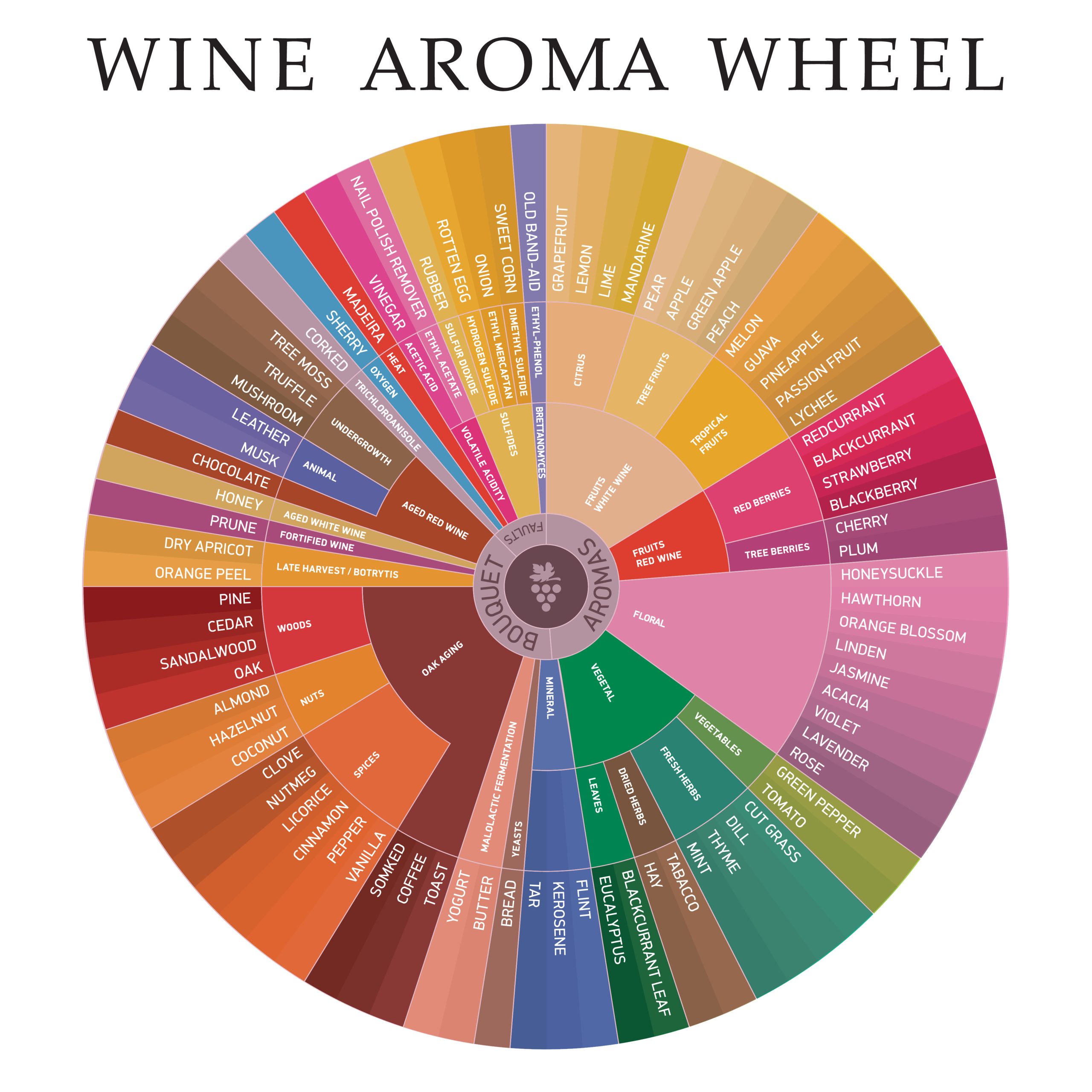 Identifying Wine Aromas - Corporate & Private Cabin Crew training